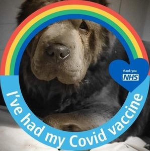 Meet your Posher, Jane